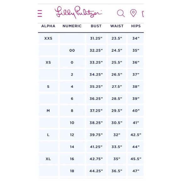 Lilly Pulitzer Blue&White Stripe Briella Fit&Flare Dress Sz.S - Picture 15 of 16